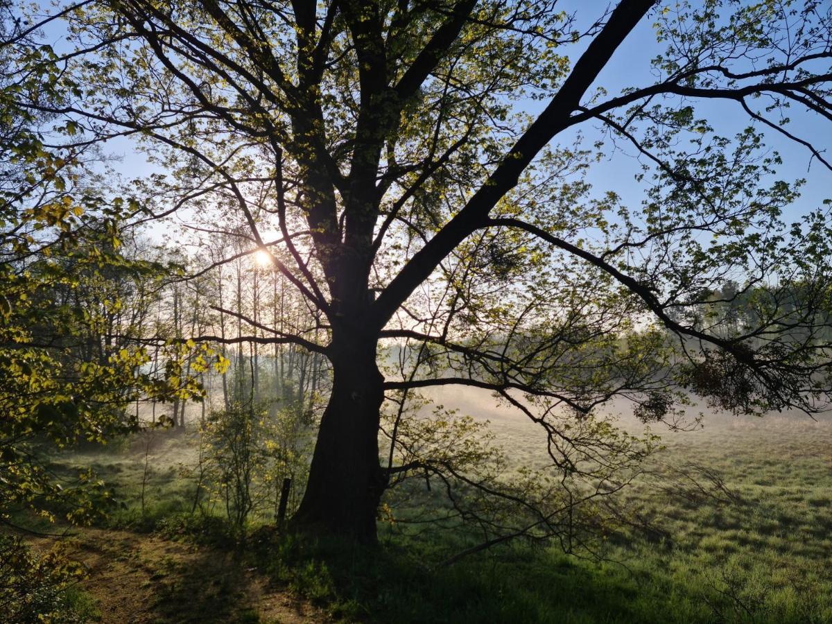 Ferienhaus Siedlisko Debinka *